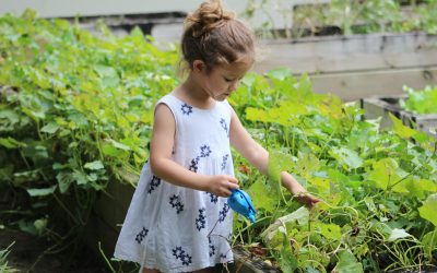 Gardening with Toddlers: Fun Ideas and Safety Tips